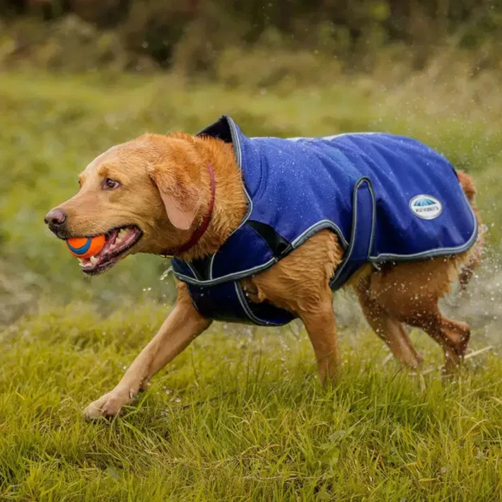 Weaterbeeta ComFiTec Premier Free Parka Deluxe hondenjas Medium